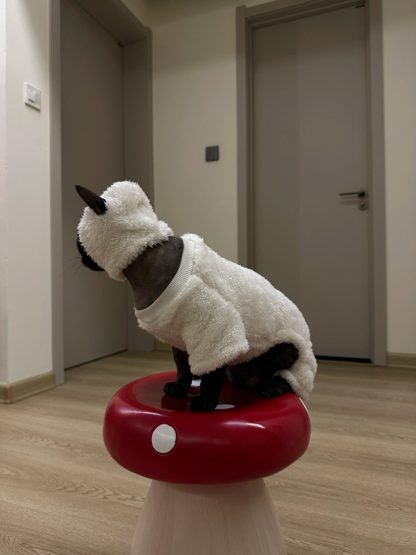 Hairless cat clothes