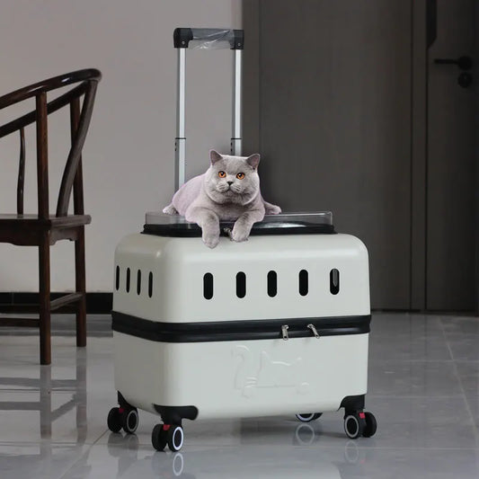 Large Pet Travel Carrier Rolling