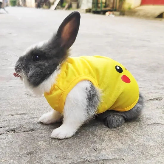 Pet Vest for Rabbit Cats