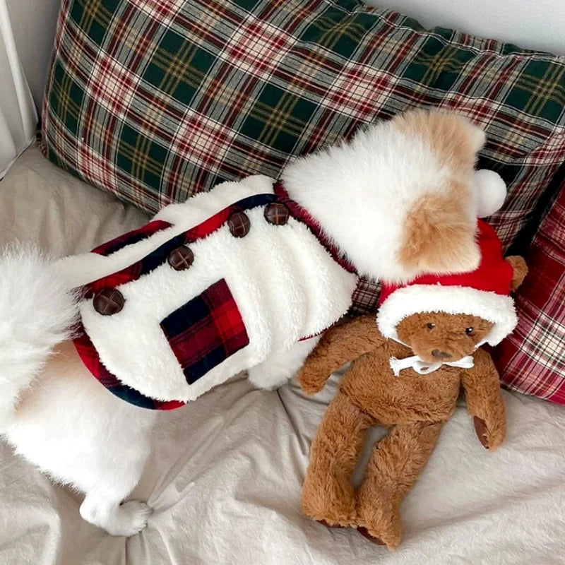 Dog Winter Clothes 2025