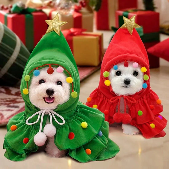 Christmas Costume Warm Cloak