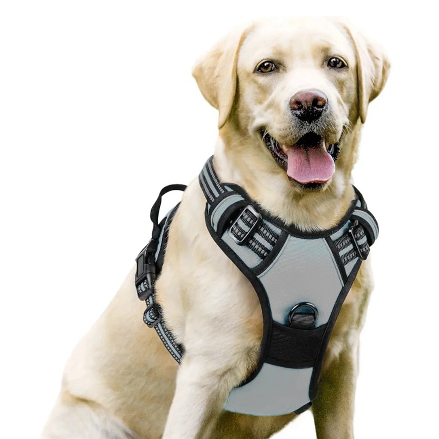Dog Harness No Pull