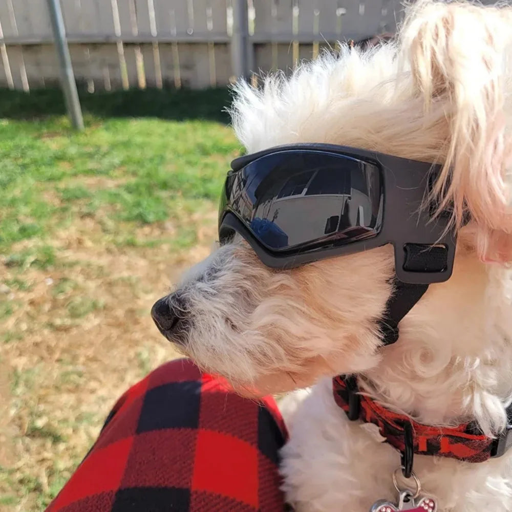 Pet Goggles Outdoor Travel UV Protection