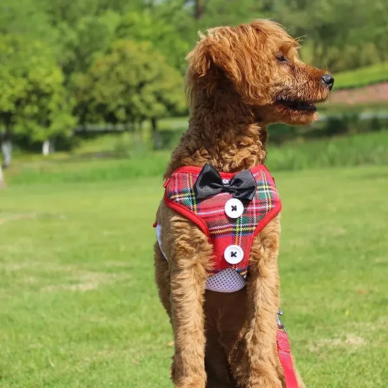 Elegant Bowtie Dog Harness Vest with Leash