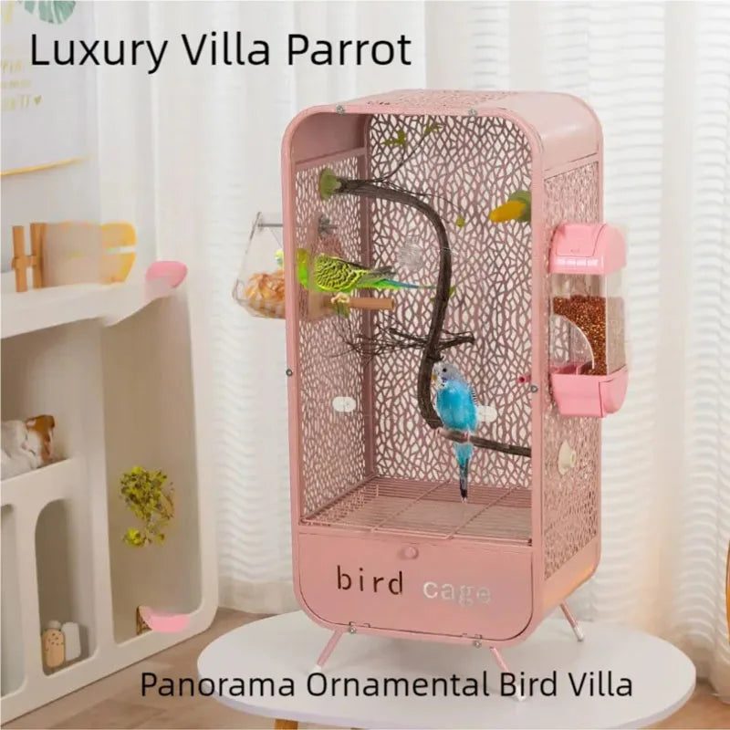 New bird, parrot cage