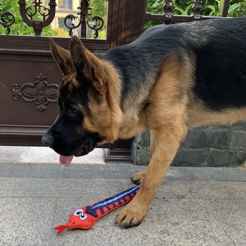 Dog Squeaky Toys