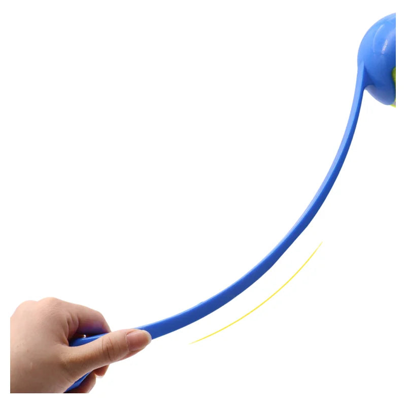 Pet Throwing Stick Toy