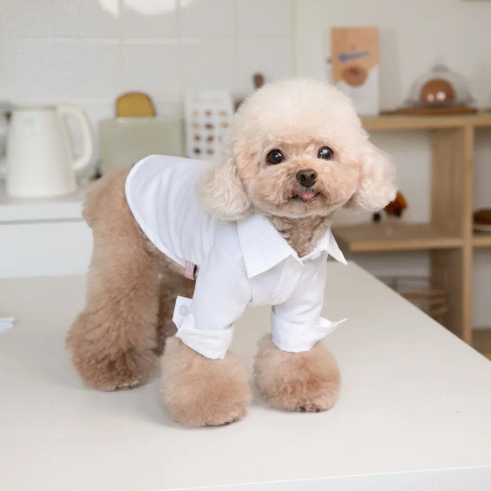 Pet Autumn Winter Striped Patchwork Denim Straps Dog Pants