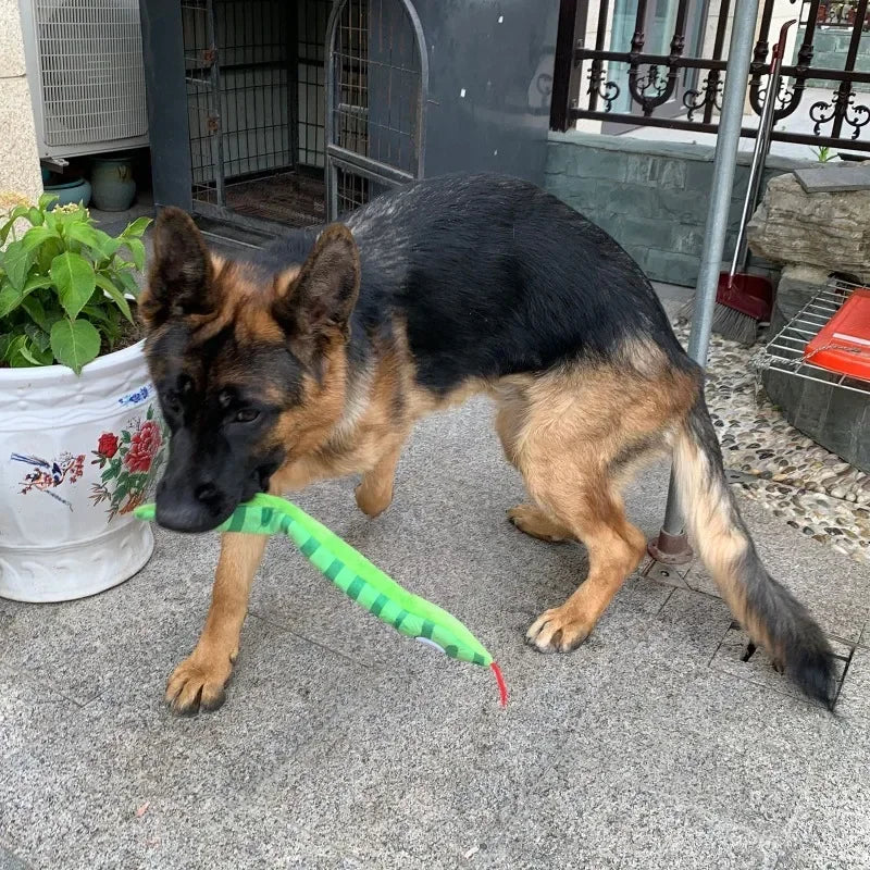 Dog Squeaky Toys