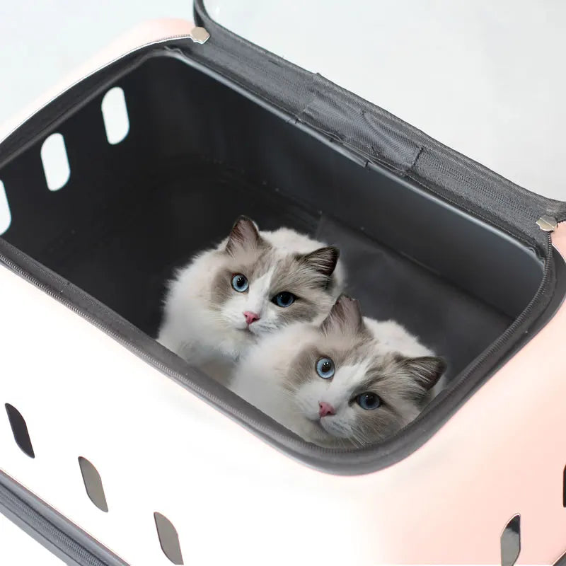 Large Pet Travel Carrier Rolling