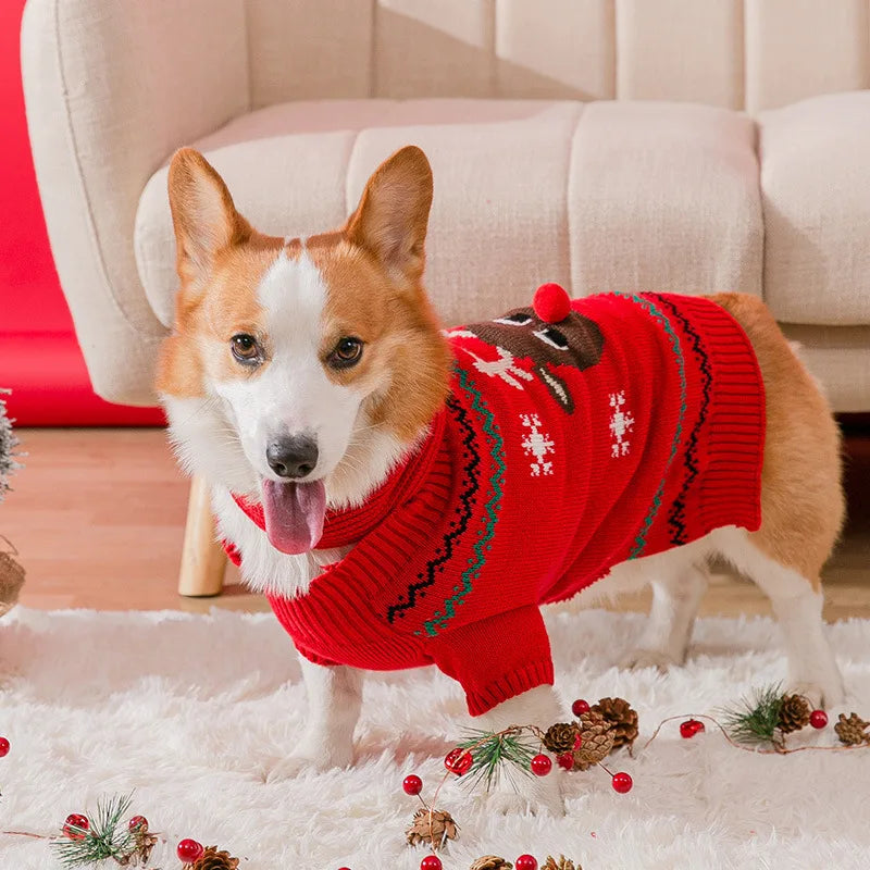 Dog Sweater Christmas