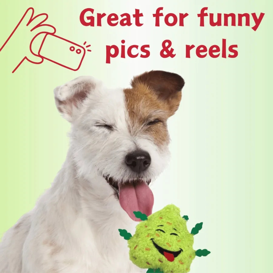Funny Squeaky Weed Dog Toy
