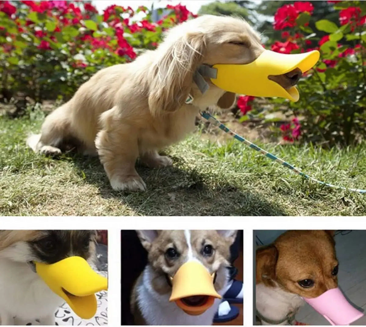 Anti Bite Duck Mouth Shape