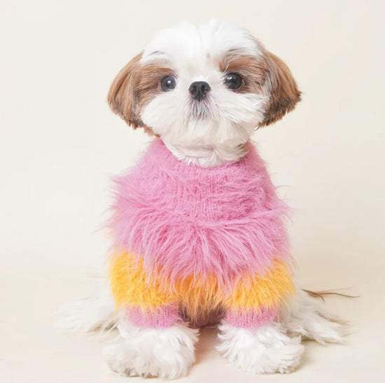 Cute French Fries Printed Soft Cotton Sweater