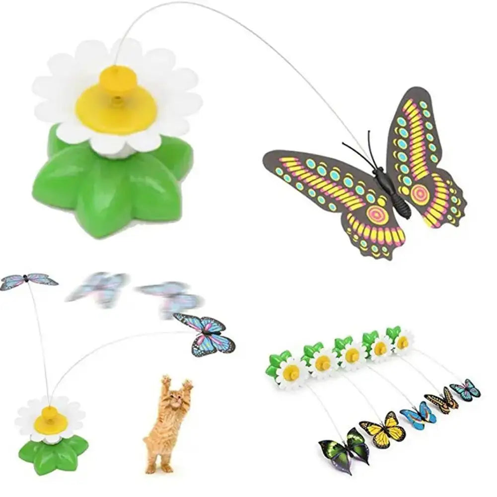 Electric Butterfly or Humming Bird Cat Toy