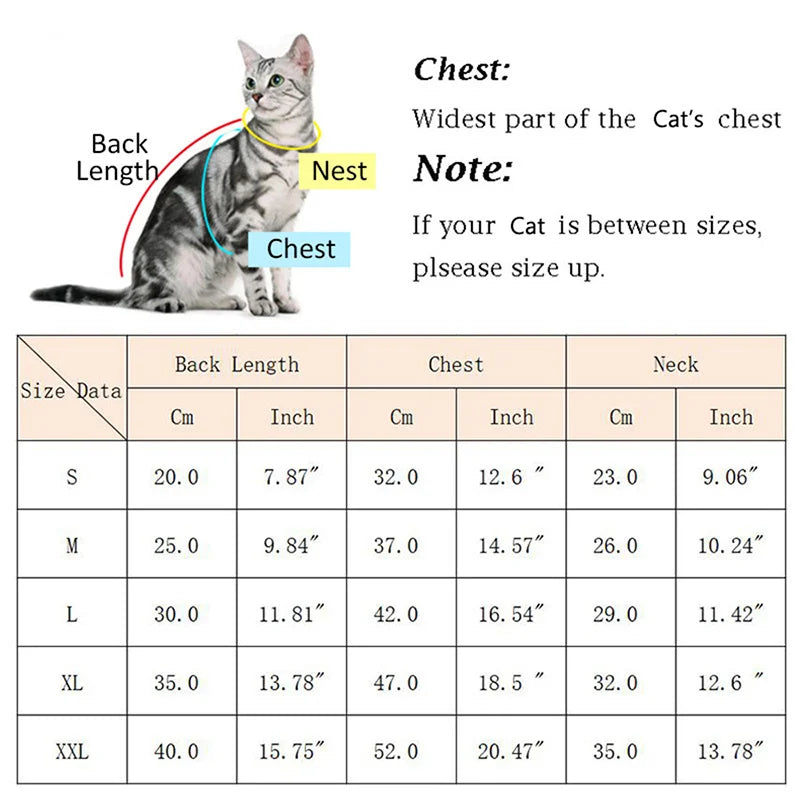 Korean Style Sphynx Cat Sweater with Buckle