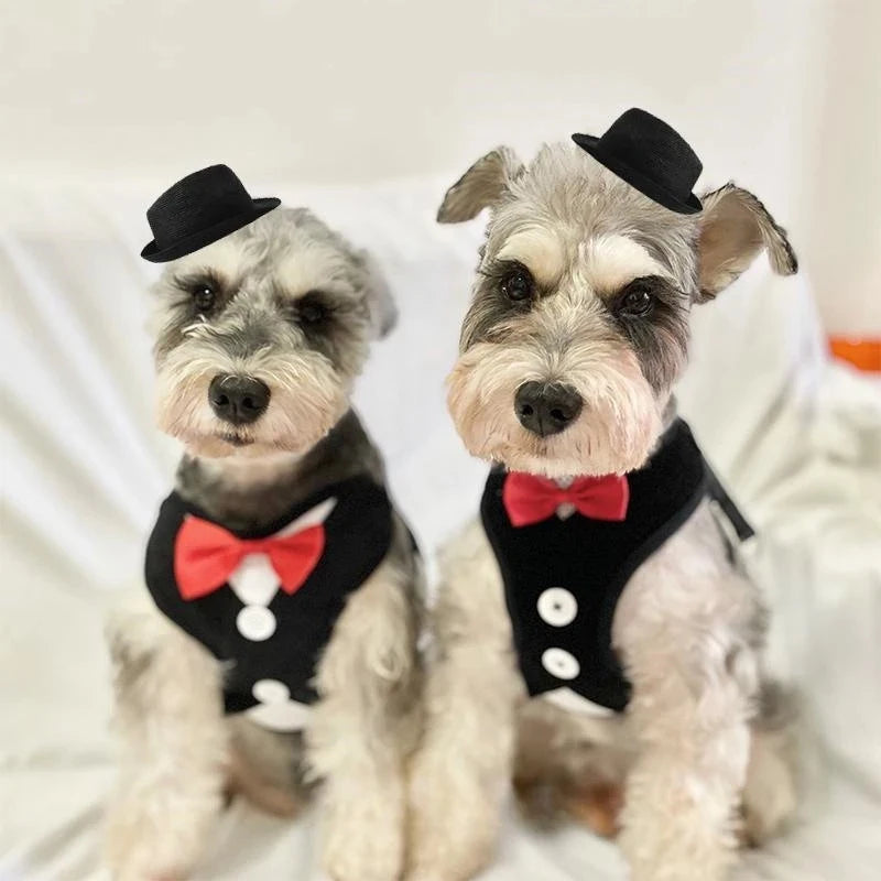 Elegant Bowtie Dog Harness Vest with Leash