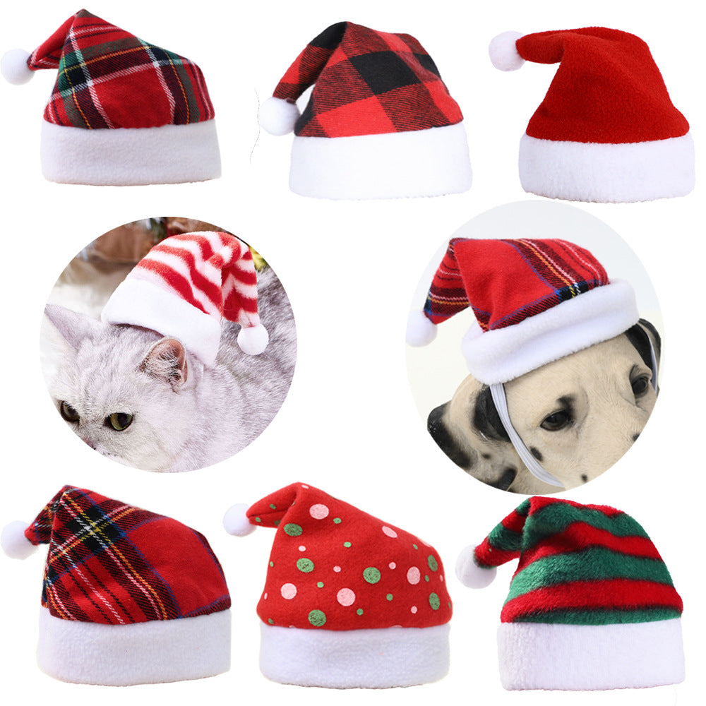dog and cat Christmas hats