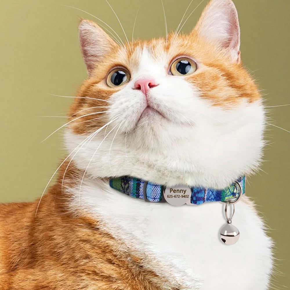 Personalized Nylon Cat Collar