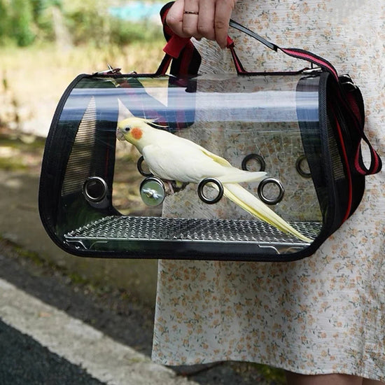 Bird Transport Cage
