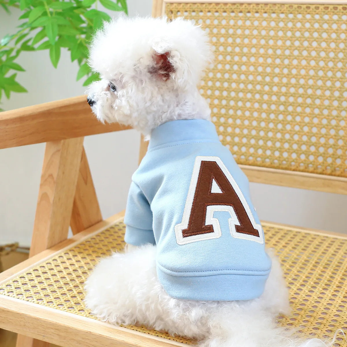Personalized Letter Print Pet Dog Clothes
