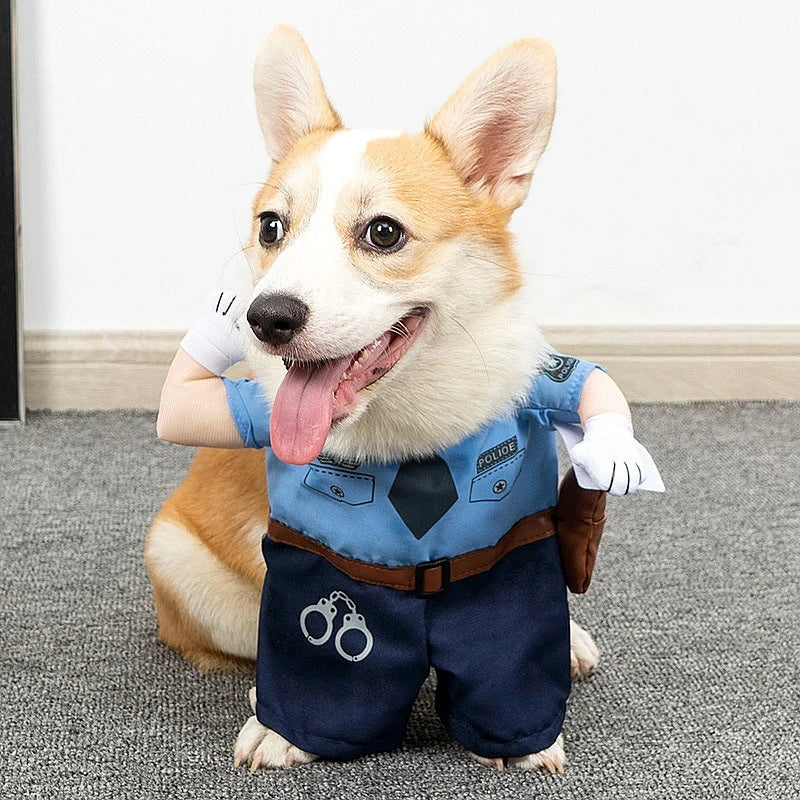 Dog Cat Cosplays Clothes  Suit