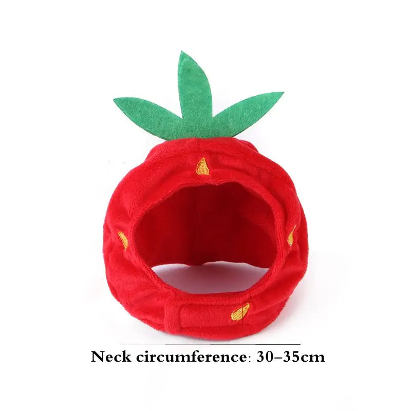 Halloween Funny Pet Cat Cap Costume