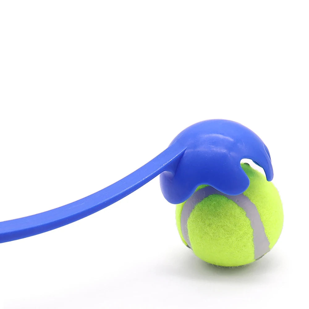 Pet Throwing Stick Toy