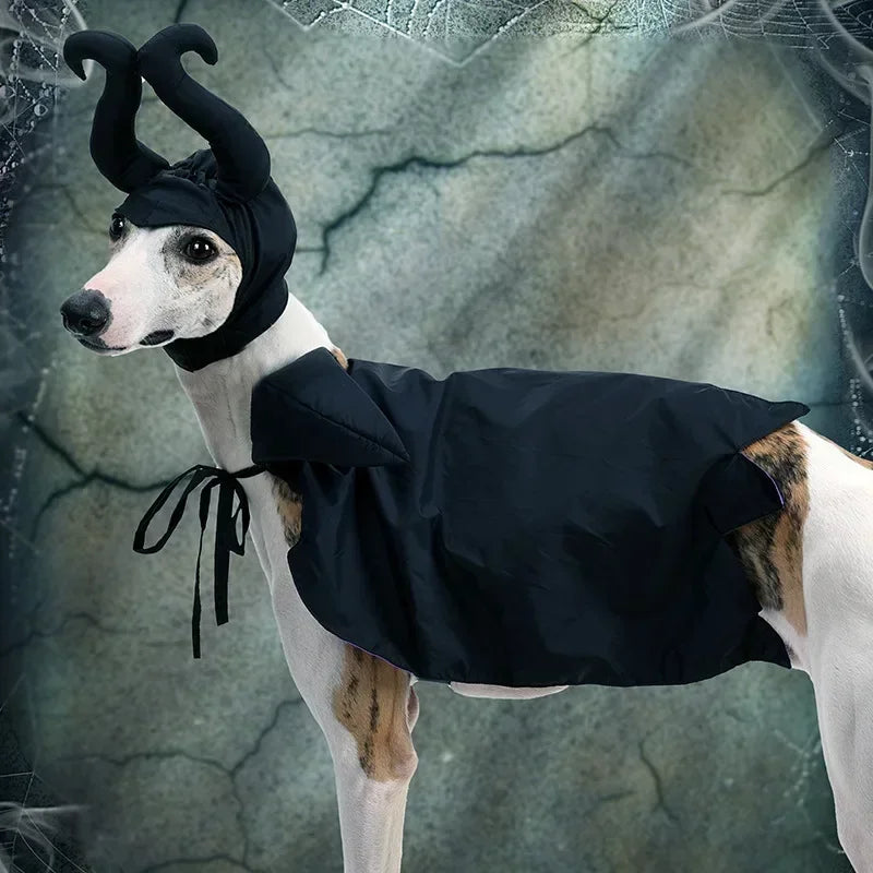 Halloween Witch-Shaped Costume