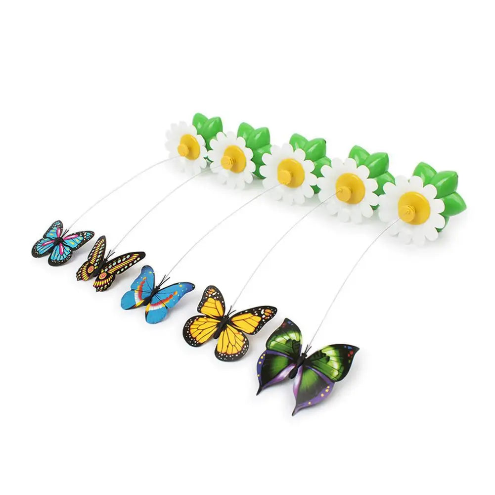 Electric Butterfly or Humming Bird Cat Toy