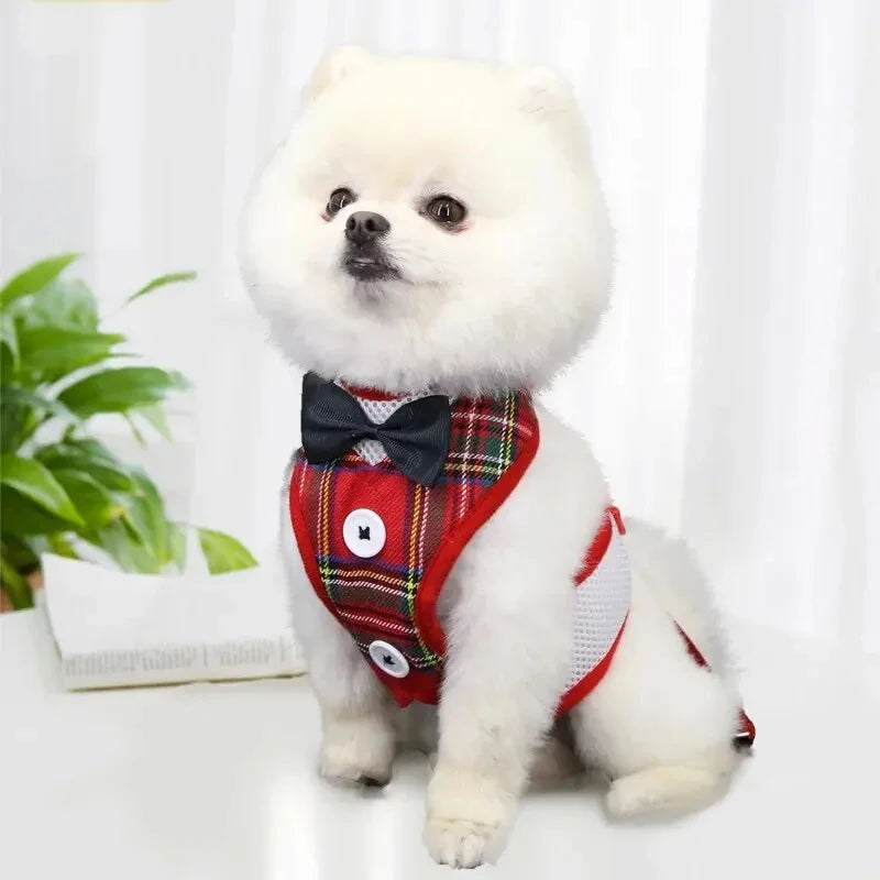 Elegant Bowtie Dog Harness Vest with Leash