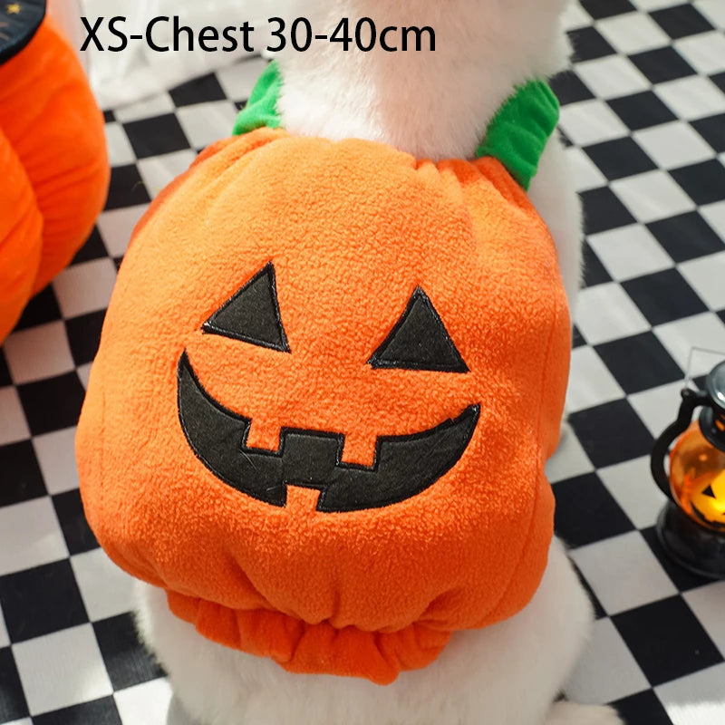 Halloween Pumpkin Vest For Dogs Cats
