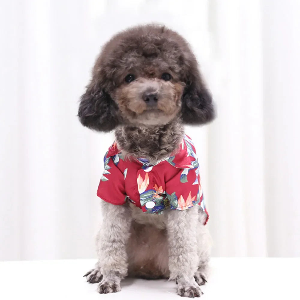 Hawaiian Shirt Designer