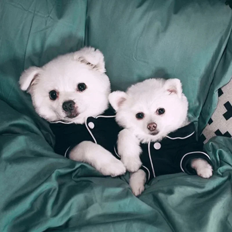summer Dog Pajamas