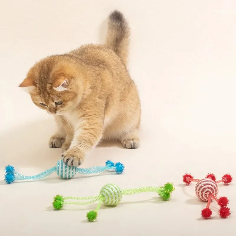 Cat Toy Self Hi Cats Sticks