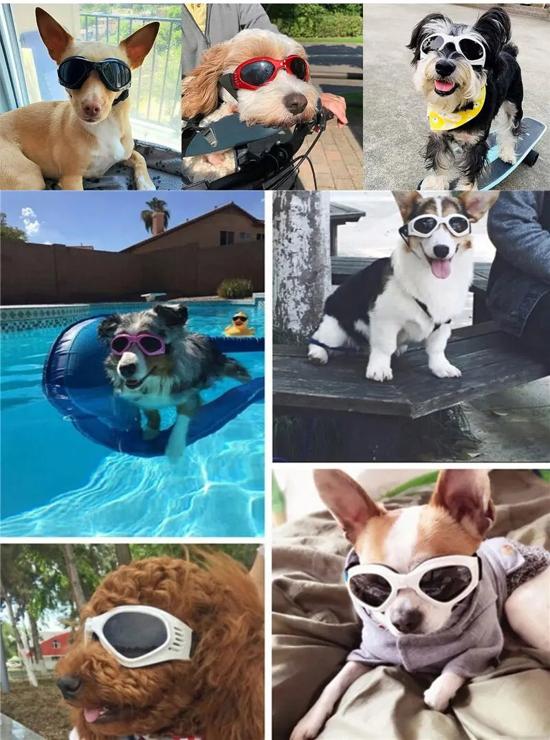 Foldable Pet Glasses