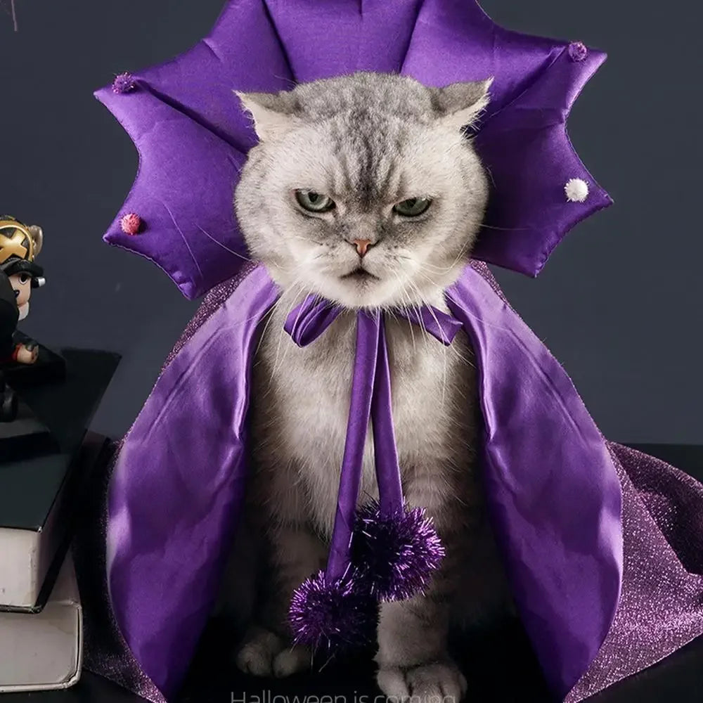 Cat Halloween wizard Costume