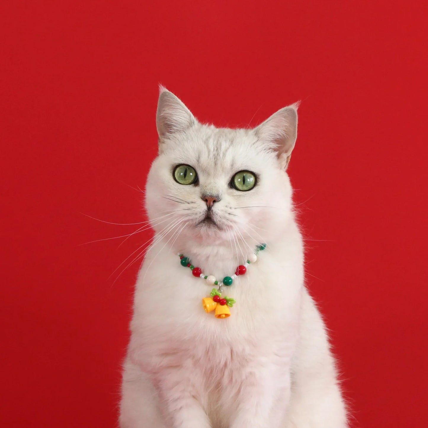 2026 Christmas Pet Collar