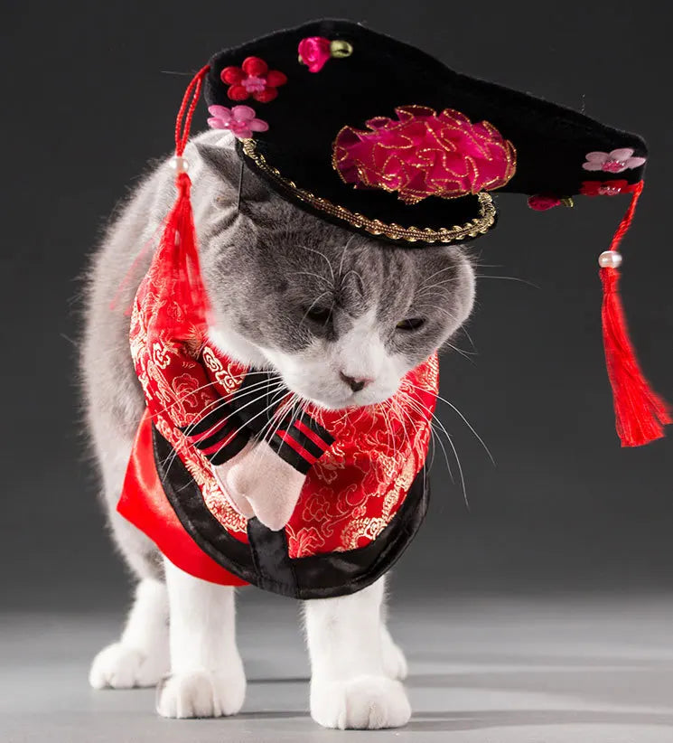 Pet Costume Clothes Suit