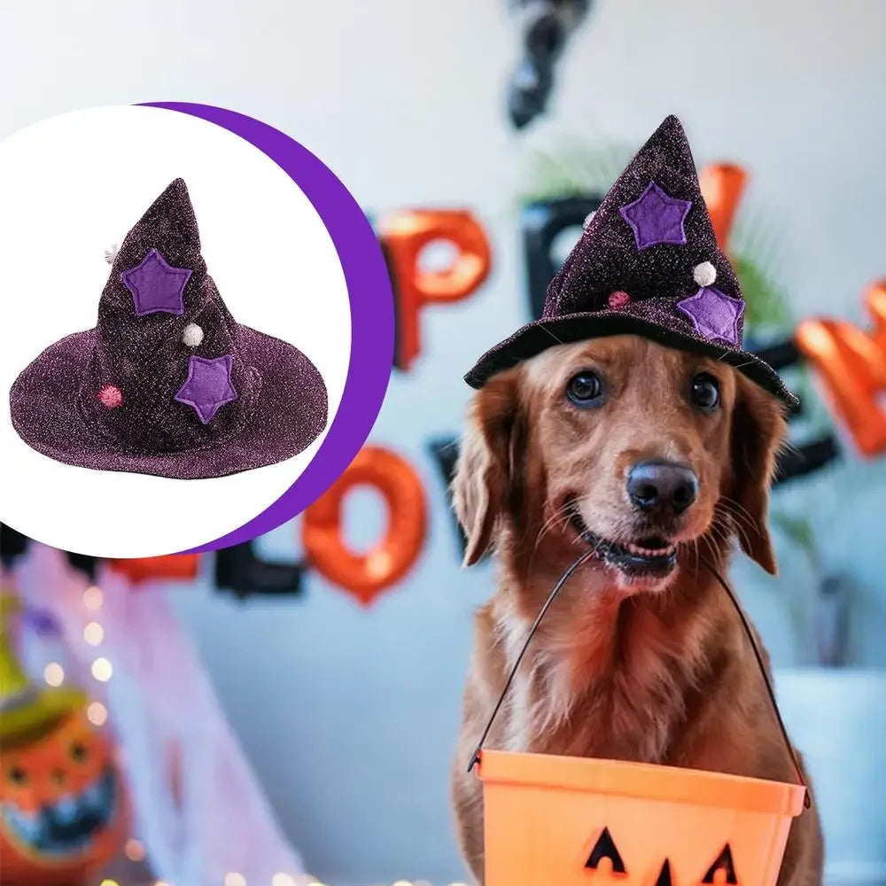 Cat Halloween wizard Costume