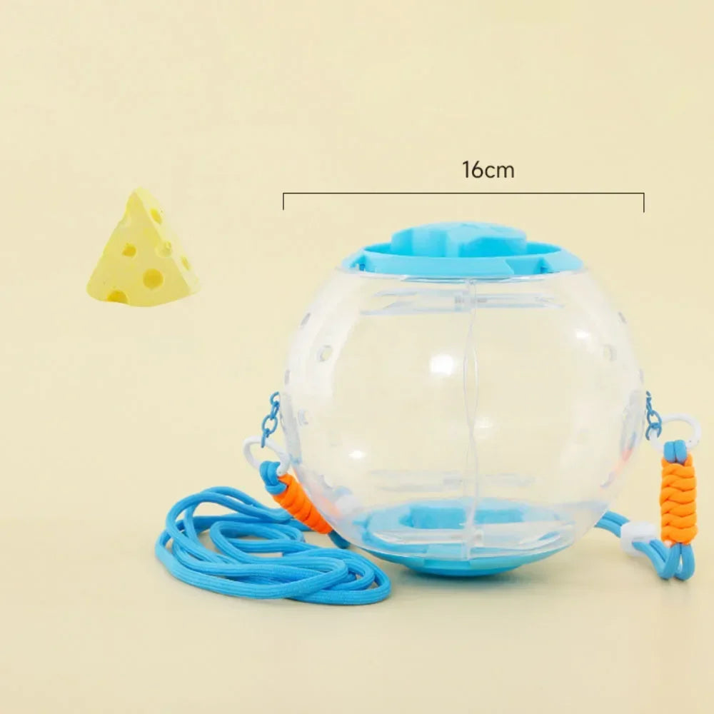Hamster Outdoor Carrying Ball