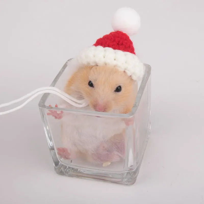 Hand Woven Hampster Christmas Hat