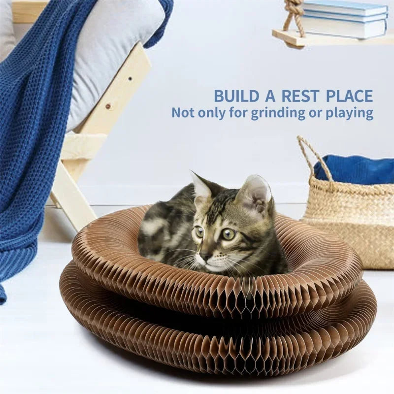 Pet accordion cat scratching board