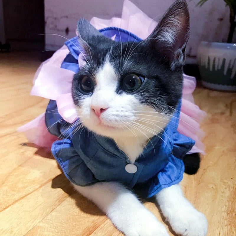 Denim Sphynx Cat Princess Dress