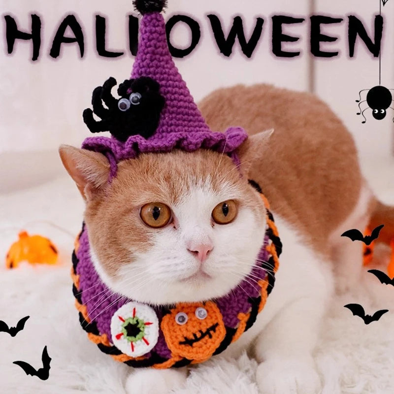 Halloween Cat Costume