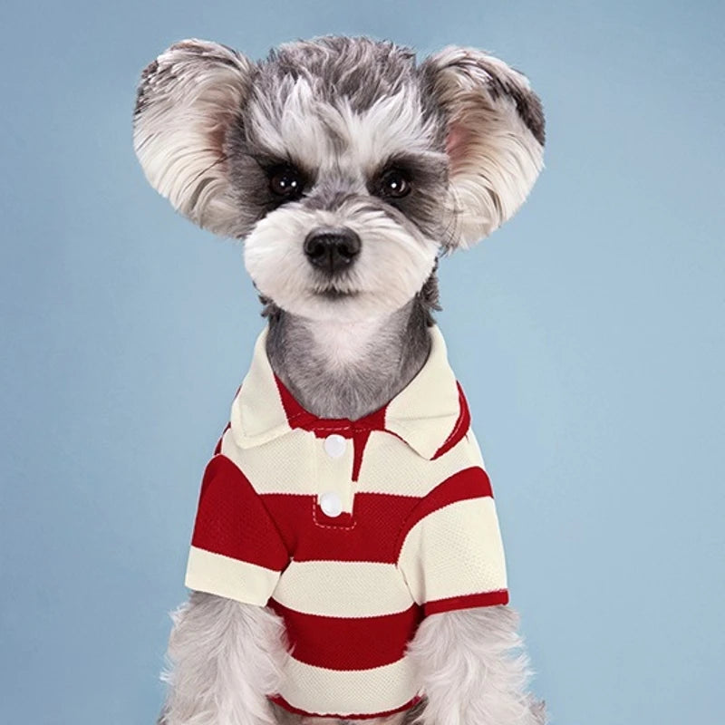 Pet Dog Polo Shirt