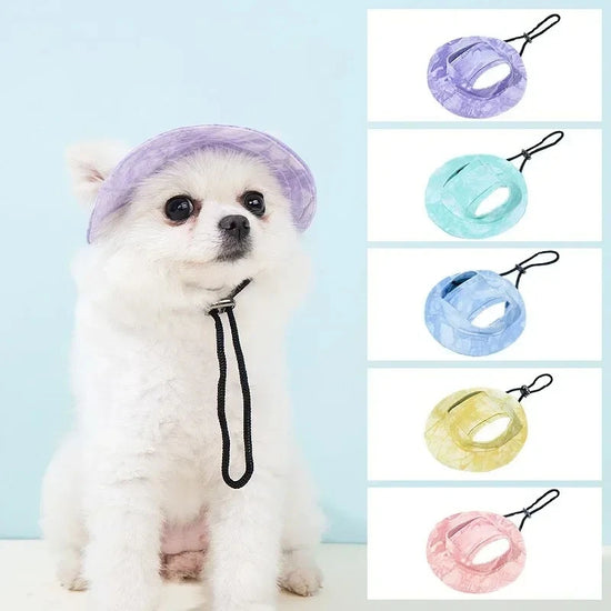 Pet Hat with Ear Holes