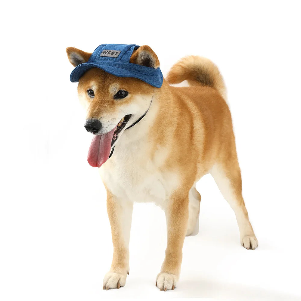 Dog Hat with Ear Holes