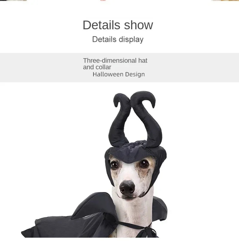 Halloween Witch-Shaped Costume
