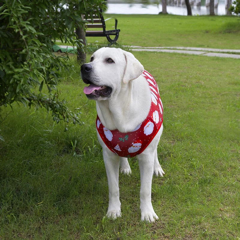 Large Dog Christmas Vest